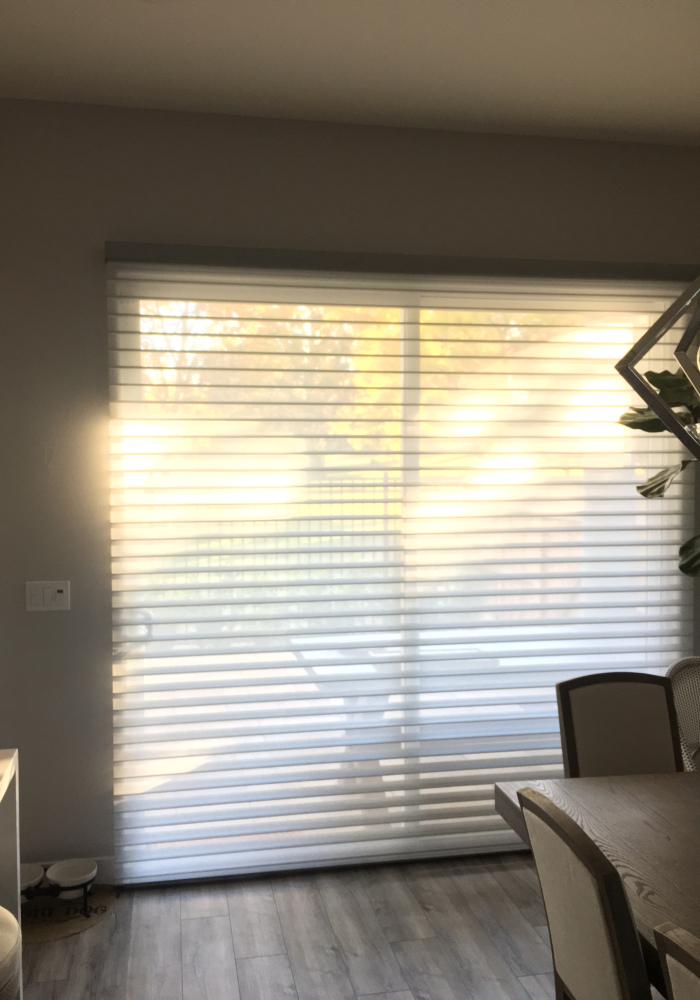 New Window Shadings in Citrus Heights